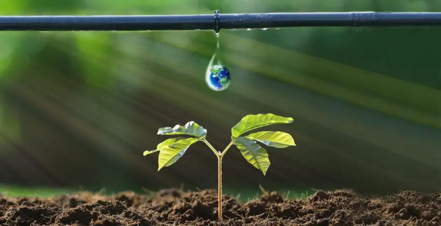 Sistem kap po kap u dvorištu | Moje Dvorište Sistem kap po kap u dvorištu | Moje Dvorište