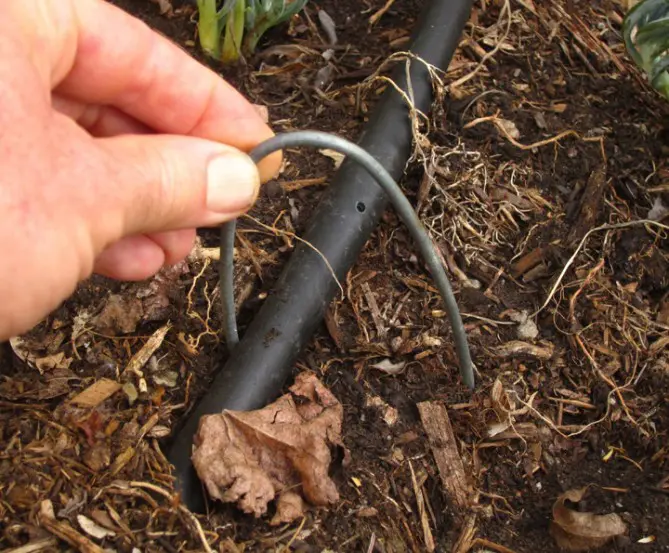 holdown-669x553 - Copy | Moje Dvorište | Moje Dvorište