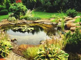 Kako napraviti ribnjak u dvorištu | Moje Dvorište Kako napraviti ribnjak u dvorištu | Moje Dvorište