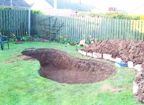 1523612191-25690800 - Copy | Moje Dvorište | Moje Dvorište