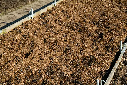 5q | Moje Dvorište Malč | Moje Dvorište