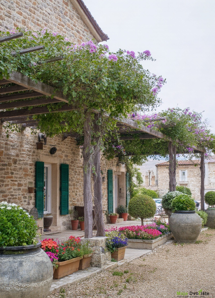 freepik__a-stone-house-with-green-shutters-and-a-pergola-co__71211 | Moje Dvorište Mediteranska bašta - pergola | Moje Dvorište