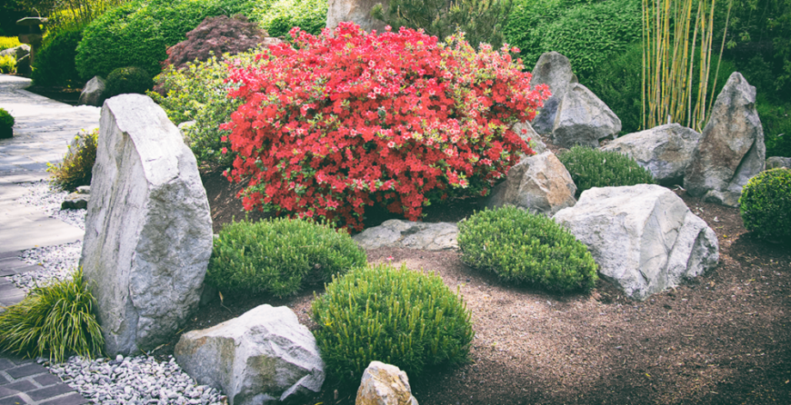 how-to-build-a-rock-garden-or-platt-hill-nursery-or | Moje Dvorište Kameni vrtovi | Moje Dvorište