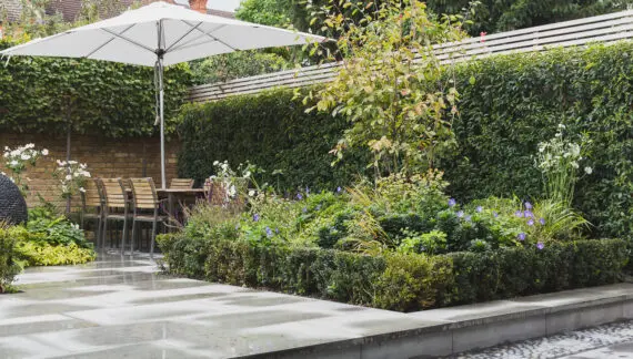 Bašte Sa Niskim Održavanjem