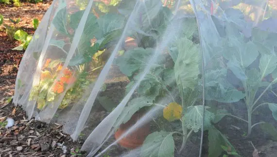 Agro Folije i Mreže