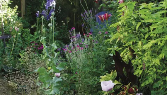 Baštovanstvo u malom prostoru