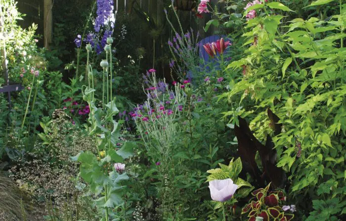 https-images-finegardening-com-app-uploads-2010- | Moje Dvorište Baštovanstvo u malom prostoru | Moje Dvorište