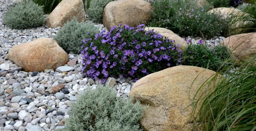 kameni-malc-0 | Moje Dvorište Kameni malč | Moje Dvorište