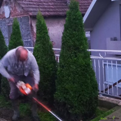 2r Oblikovanje četinara