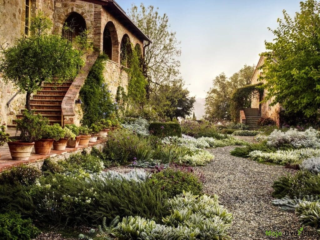 Mediterranean Garden  | Moje Dvorište