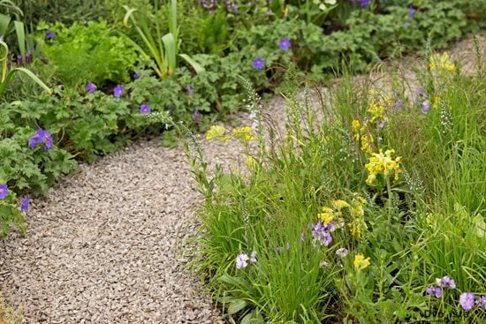 Šljunak u bašti | Moje Dvorište