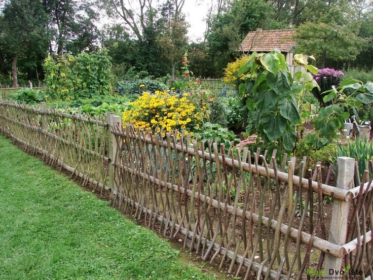 Ograda od pruća | Moje Dvorište