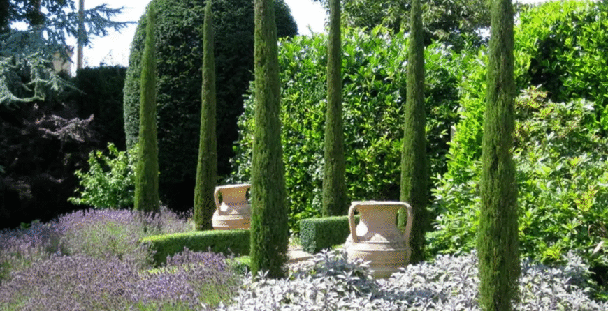 word-image-6698-1 | Moje Dvorište gredice sa Italijanskim čempresom Cupressus Sempervirens „Totem“ | Moje Dvorište