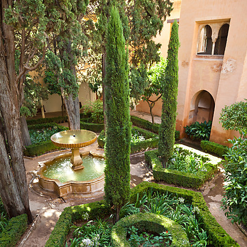 yougarden-pair-of-italian-cypress-trees-60-80cm-ta | Moje Dvorište Gredica sa Italijanskim čempresom - Cupressus Sempervirens | Moje Dvorište