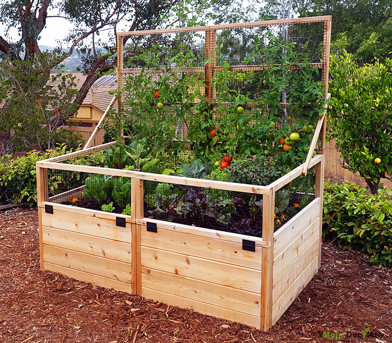 Gajenje povrća u podignutim gredicama | Moje Dvorište