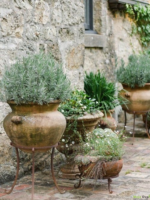 Terakotni ćupovi - upotreba | Moje Dvorište Terakotni ćupovi - upotreba | Moje Dvorište