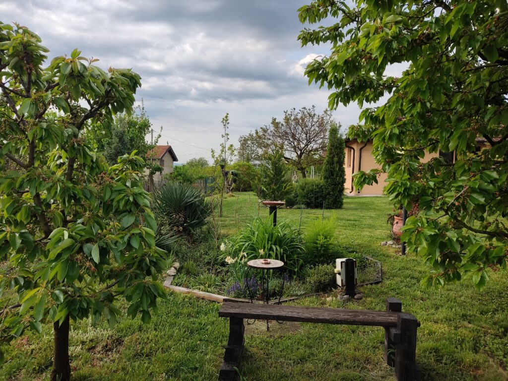 1777457259829 1 | Moje Dvorište Lep vrtni kutak: Vrt kao mesto mira | Moje Dvorište