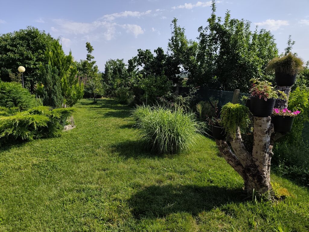 Kako Sam Pretvorio Zapušteni Prostor u Lep Vrtni utak