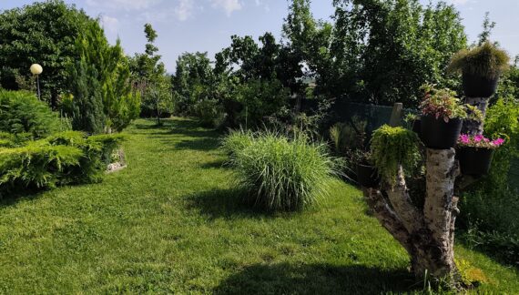 Kako Sam Pretvorio Zapušteni Prostor u Lep Vrtni utak