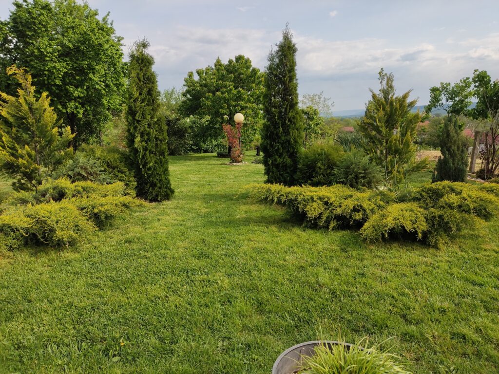 Posle | Moje Dvorište Konačni izgled mog vrta | Moje Dvorište