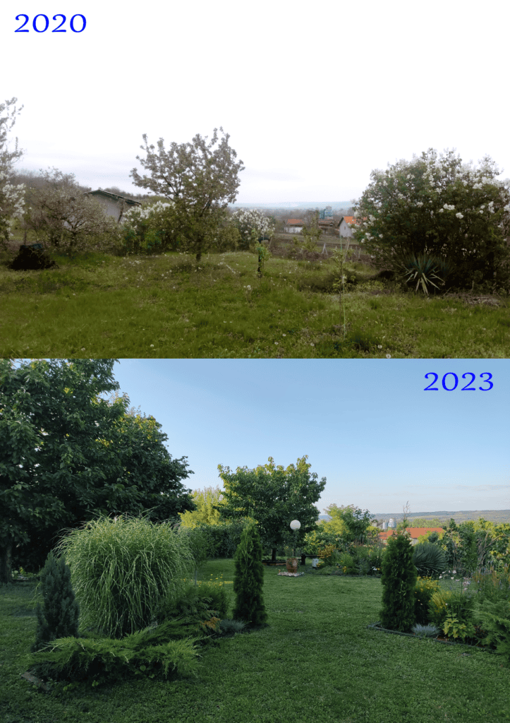 pred sadnju copy | Moje Dvorište Transformacija vrta | Moje Dvorište