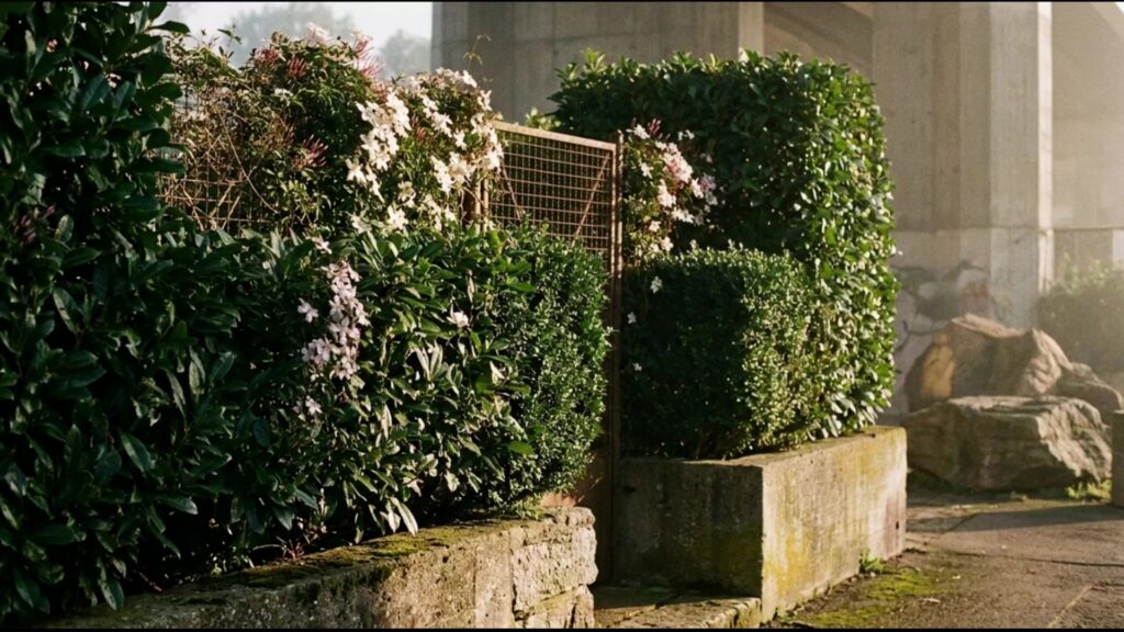 Kako sakriti ružne delove dvorišta biljkama i detaljima